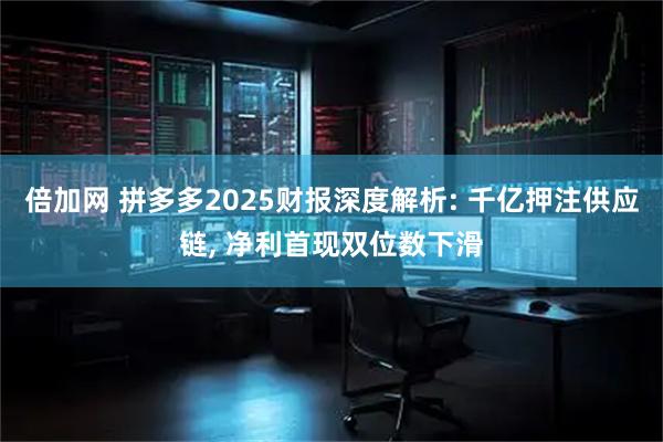 倍加网 拼多多2025财报深度解析: 千亿押注供应链, 净利首现双位数下滑